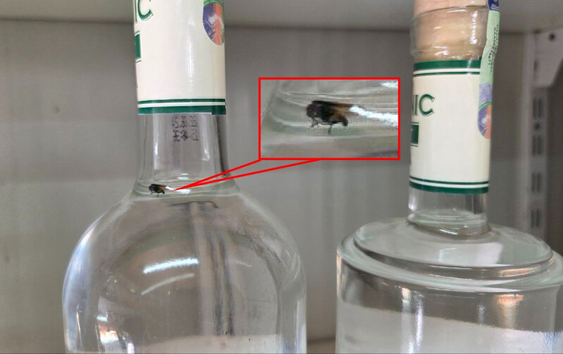 Saxta olduğu azmış kimi içindən milçək də çıxdı - Fotolar