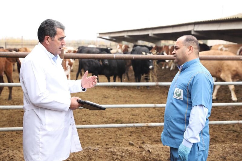 Dabaqla bağlı peyvəndləmə işlərinə başlanıldı