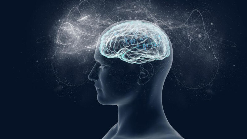 İnsan şüuru necə formalaşır? - Alim açıqladı