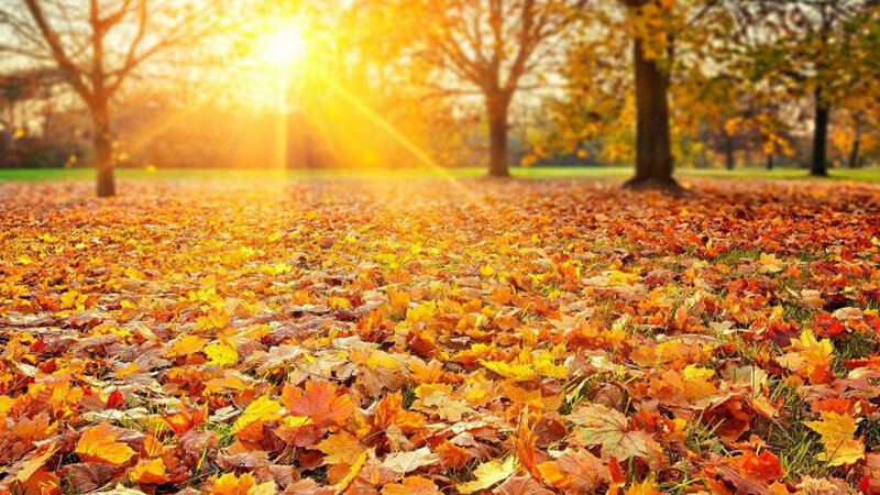 Sabah 22 dərəcə isti olacaq