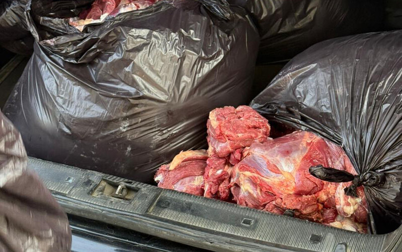 154 kq at ətini mal əti adı ilə Bakıda satmaq istədi - Fotolar