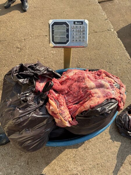 154 kq at ətini mal əti adı ilə Bakıda satmaq istədi - Fotolar