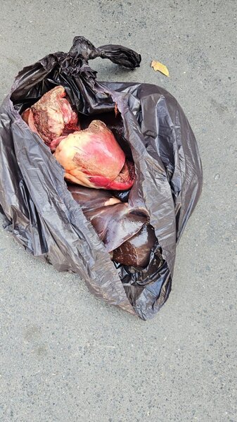 154 kq at ətini mal əti adı ilə Bakıda satmaq istədi - Fotolar