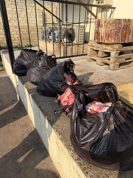 154 kq at ətini mal əti adı ilə Bakıda satmaq istədi - Fotolar