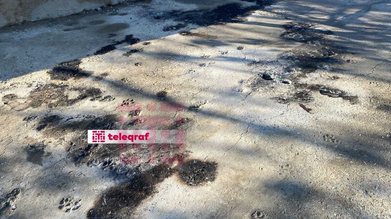 Dəmir pilləkəni aparan zaman ölüblər - "Lake Hotel"dəki faciənin təfərrüatı