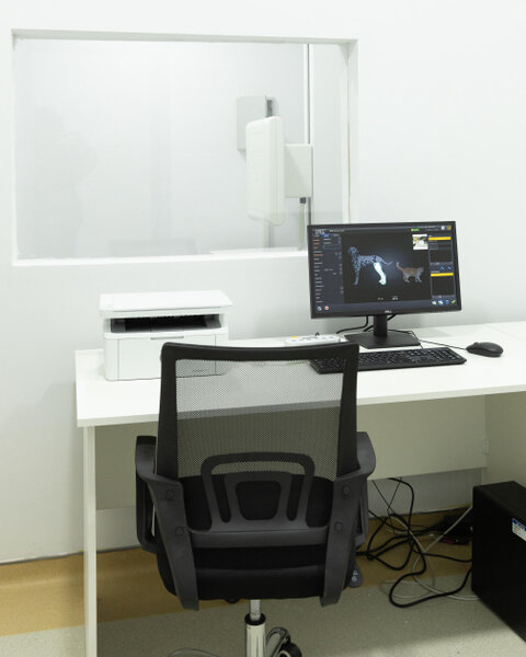 Leyla və Alena Əliyevalar Lənkəranda klinikada - Fotolar