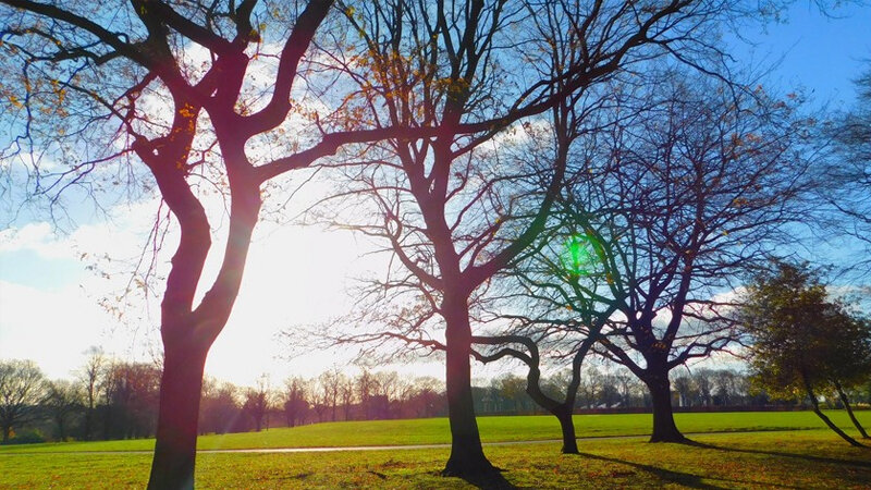 Dekabrda hava necə olacaq?