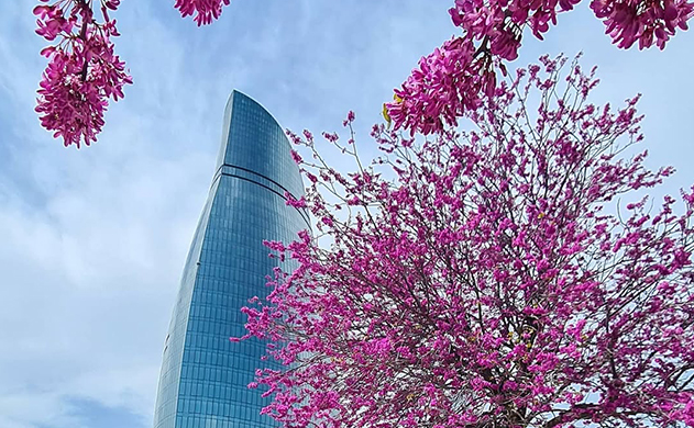 Mart ayında ardıcıl 11 gün İŞ OLMAYACAQ