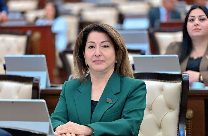 "Dövlətə xəyanət, xalqa arxa çevirmək ən ağır cinayətdir" - DEPUTAT