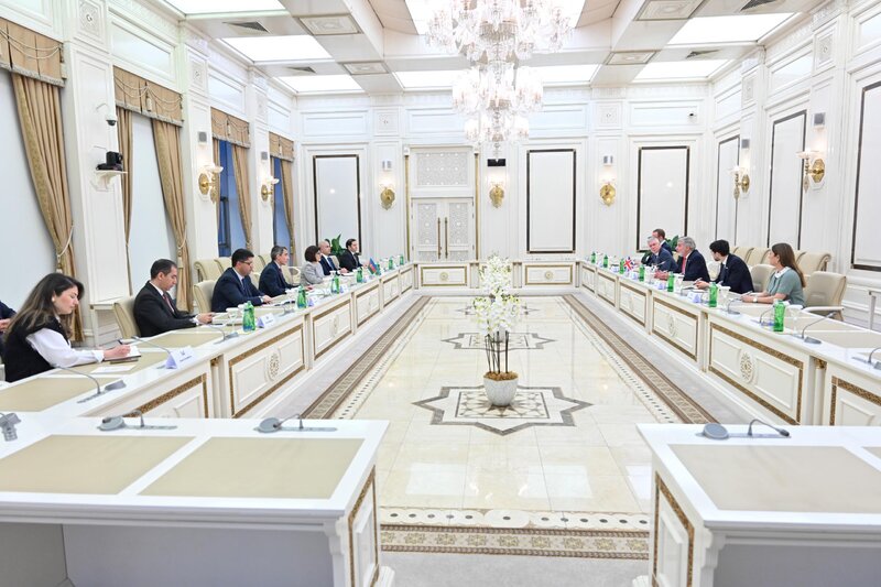 Milli Məclisin sədri Britaniyanın Azərbaycan üzrə ticarət elçisi ilə görüşüb