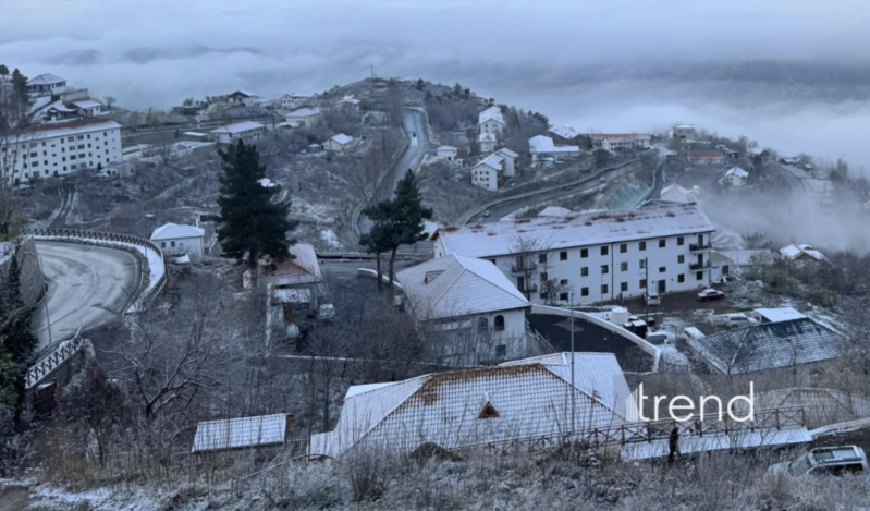Laçına da qar yağır (FOTO)