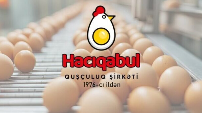 "Yumurta № 1"də kabel oğurluğu