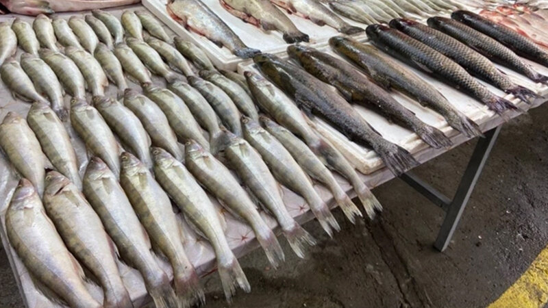 Yeni il süfrəsində balıq yemək lüksə çevrildi - Qiymətlər necədir?