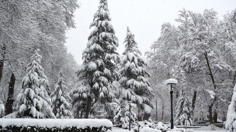 Sabah bəzi rayonlara qar yağacaq