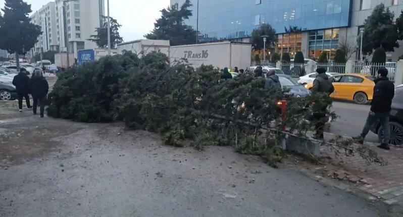 Türkiyədə fırtına həyatı iflic etdi - 3 nəfər öldü-Fotolar
