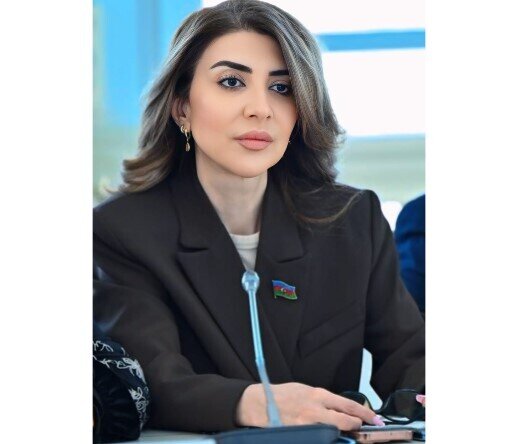 "Məhz bu faktor Vaşinqtonu ehtiyyatla hərəkət etməyə sövq edir" - AÇIQLAMA