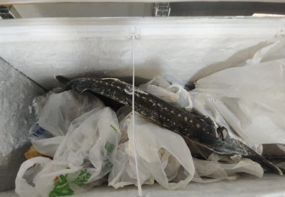 "Dağlılar Balıq" restoranının fəaliyyəti məhdudlaşdırıldı - SƏBƏB