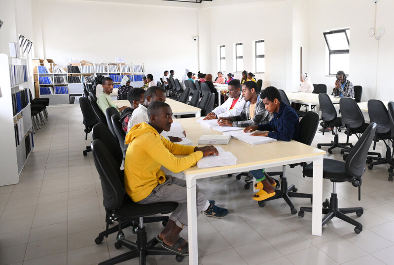 Leyla Əliyevanın Efiopiya səfərindən maraqlı - Fotolar