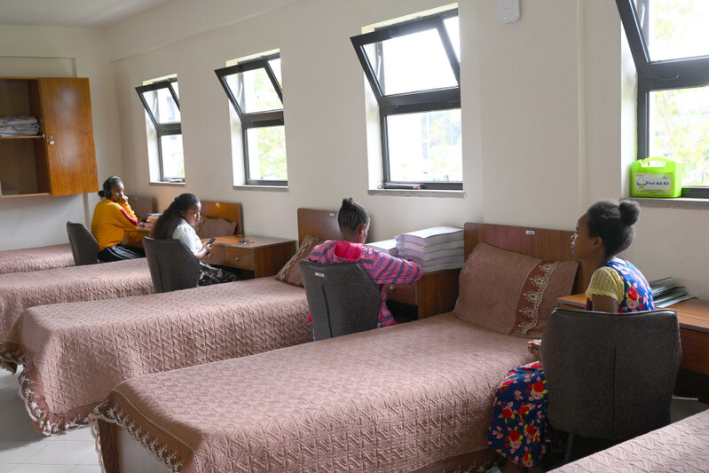 Leyla Əliyevanın Efiopiya səfərindən maraqlı - Fotolar