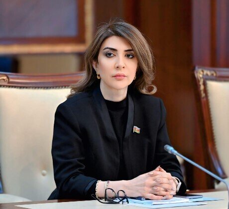 "Bu tip situasiyalarda yanlış qərarlar gözlənilməz ssenarilərin yaranmasına səbəb ola bilər" - DEPUTAT