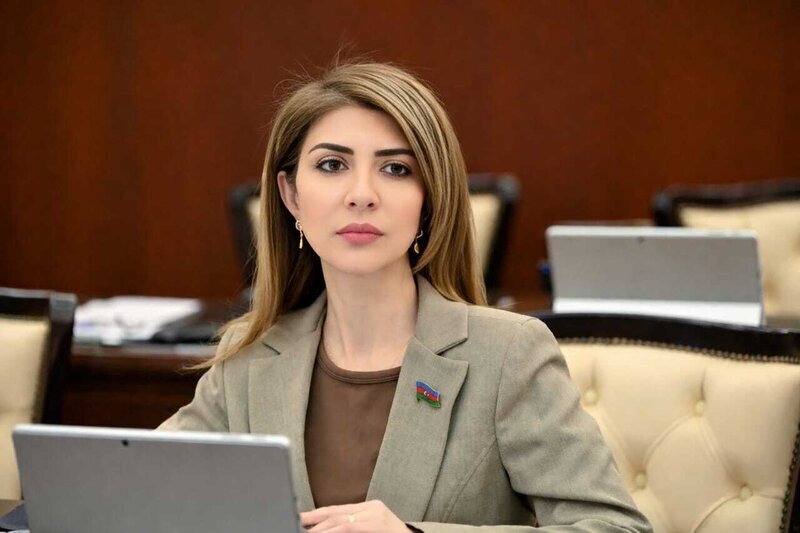 "Azərbaycan müstəqil və qarşılıqlı faydalı əməkdaşlığa əsaslanan xarici siyasət həyata keçirir" - DEPUTAT