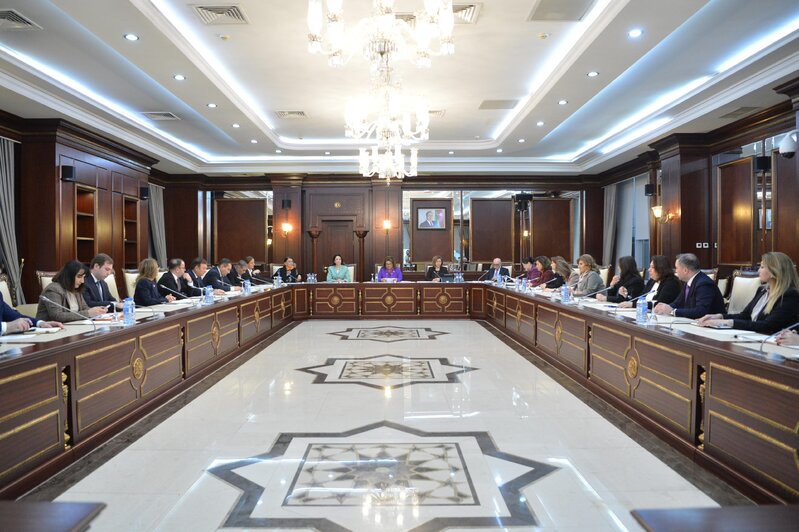 Milli Məclisin Ailə, qadın və uşaq məsələləri komitəsinin iclası keçirilib