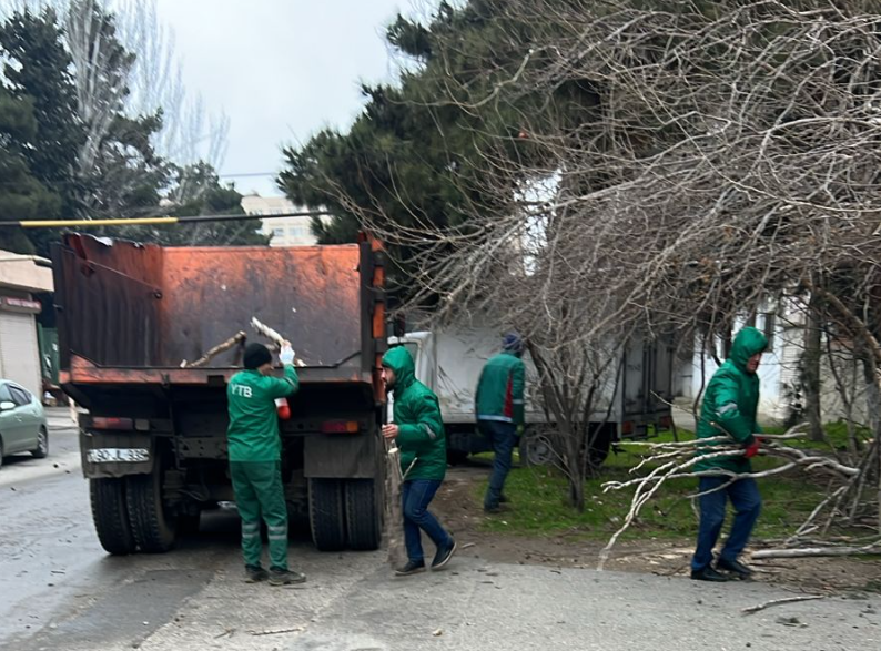 Bakıdakı güclü küləkdə 37 ağac qırıldı - Fotolar - Yenilənib