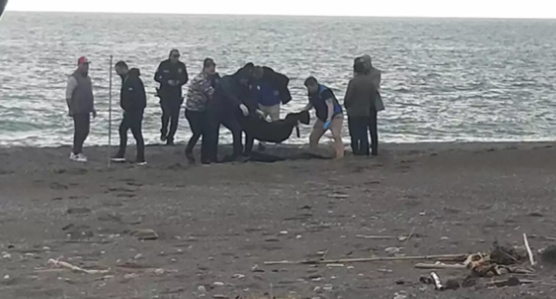Sahildə gəzərəkən meyit gördü, ilk iş telefona sarıldı - VİDEO