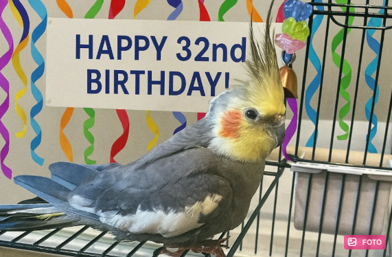 ABŞ-də yaşayan tutuquşu öz növünün ən yaşlı nümayəndəsi seçildi