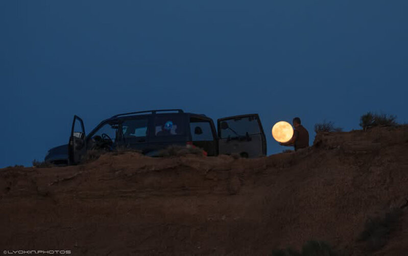 Qobustanda Ayı "oğurladılar" - Foto