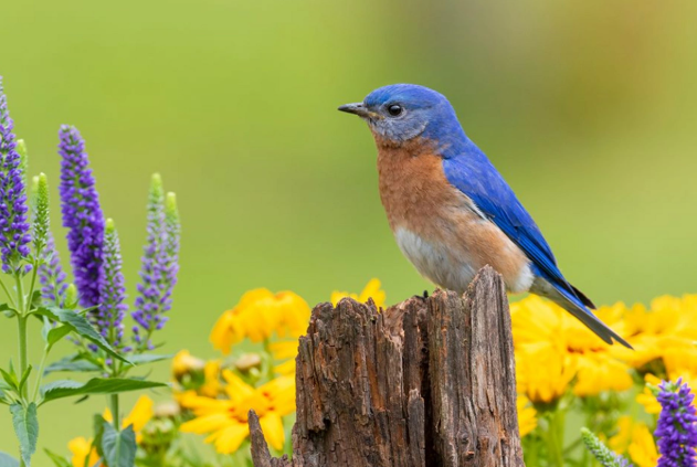 Yaz fəslinin Azərbaycana daxil olacağı vaxt AÇIQLANDI