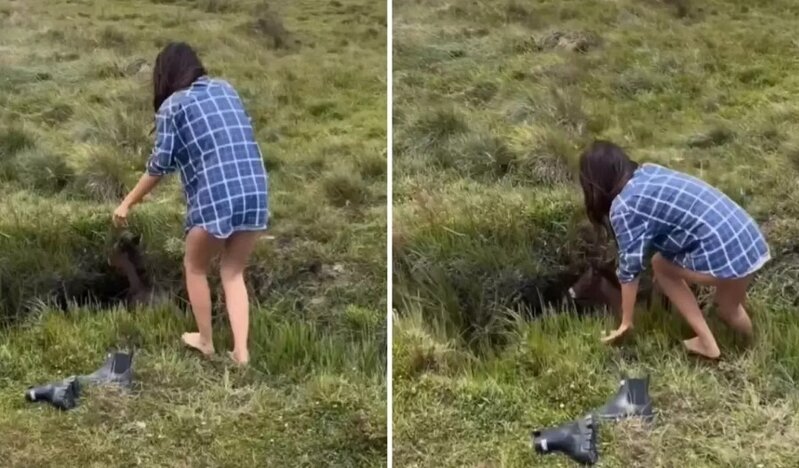 "Dünyanı sevgi xilas edəcək" dedirən görüntülər - VİDEO