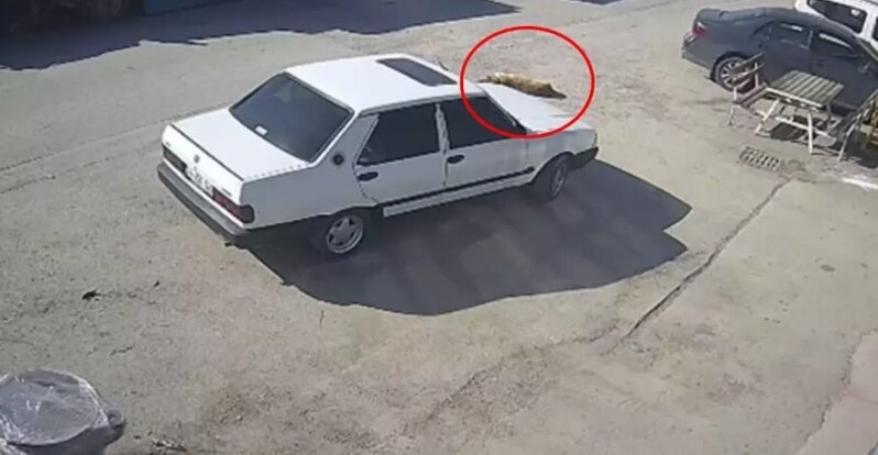 Ramazan günündə heyvana qarşı qəddarlıq: Avtomobillə iti vurdu