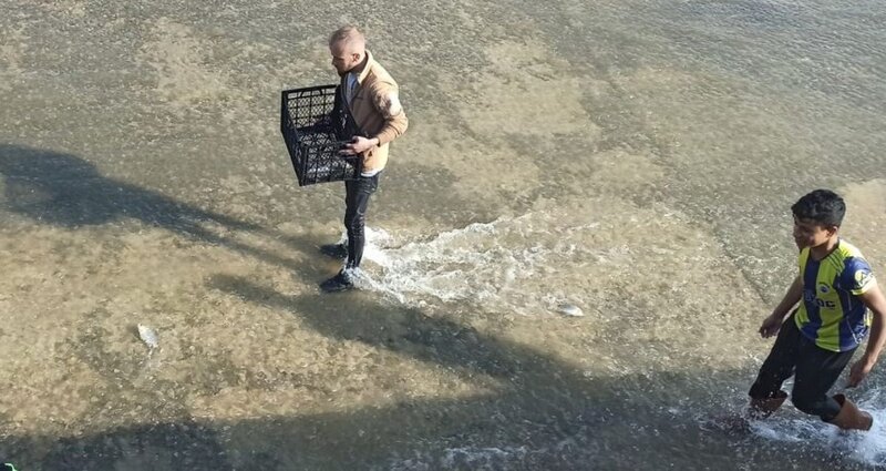 Xəbəri eşidən balıq toplamağa qaçdı - VİDEO