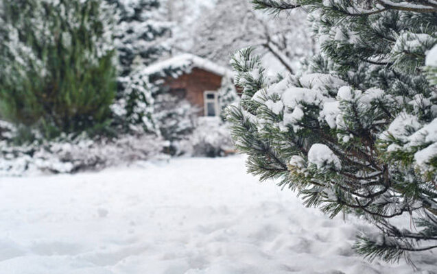 Qaxla Şahdağa qar yağır
