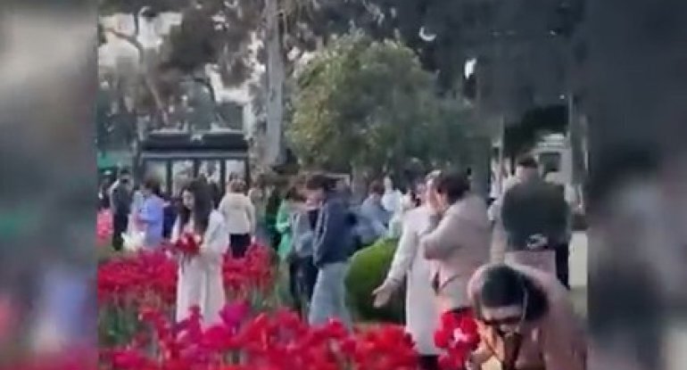 Bu dəfə gülləri qoparıb buket düzəltdilər - VİDEO