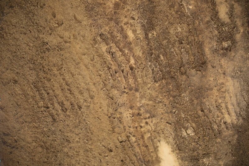 Qobustanda yeni qayaüstü izlər aşkarlandı - Fotolar