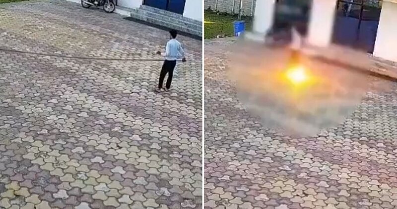 Meymunu qovmağa çalışarkən canından oldu