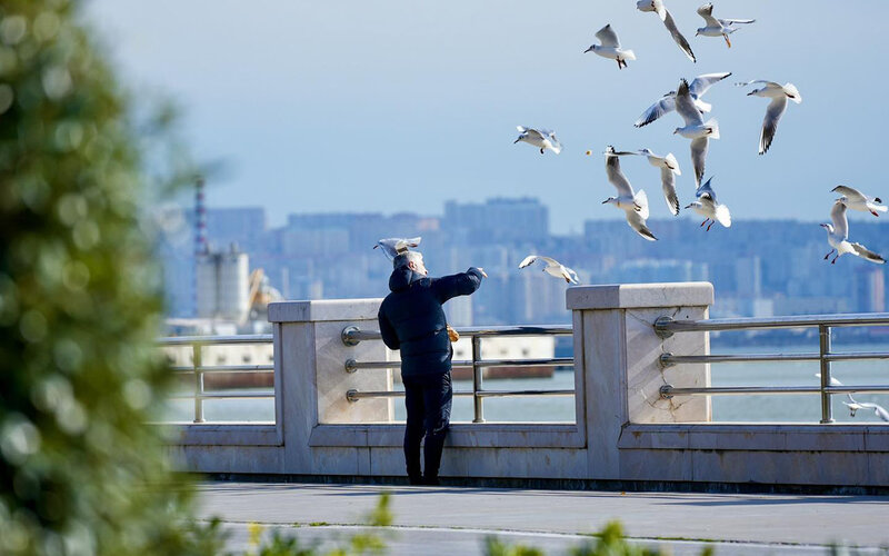 Sabah hava necə olacaq?