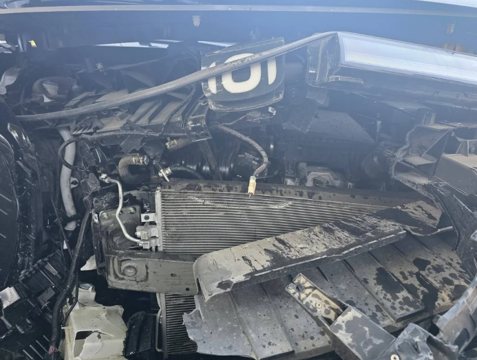 Xəyal Rza ailəsi ilə birgə Göyçayda qəzaya düşdü - FOTO