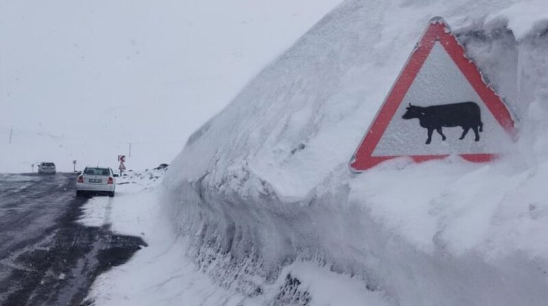 Qarın qalınlığı yol nişanlarını keçdi - VİDEO