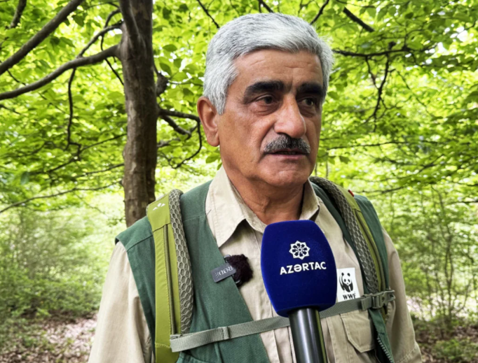 Hirkan meşələrində GİZLİ HƏYAT: Fototələlərdən NADİR GÖRÜNTÜLƏR