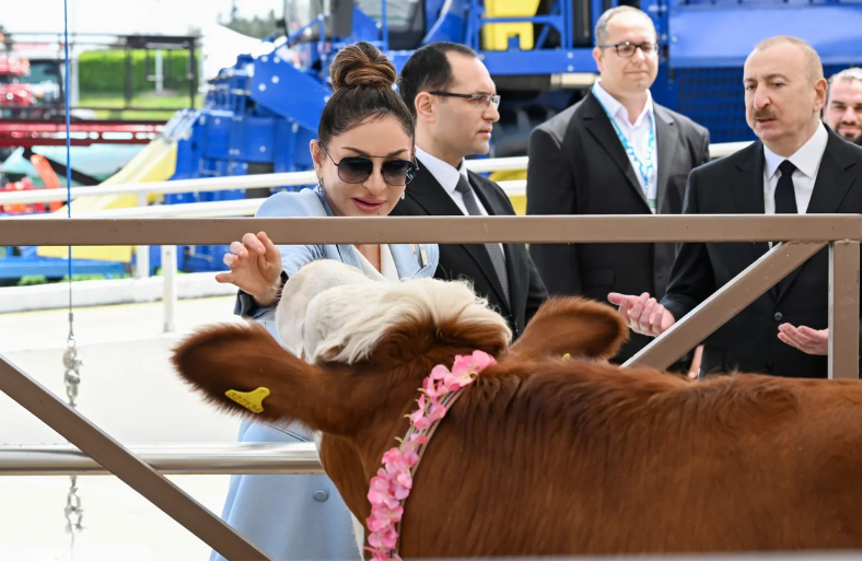 İlham Əliyev 19-cu "Caspian Agro Week" və 31-ci "InterFood Azerbaijan" sərgiləri ilə tanış olub - FOTO