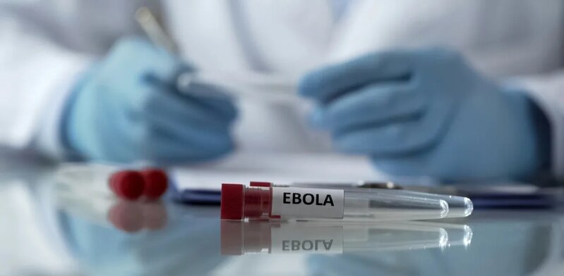 Fransada Ebolaya ilk yoluxma faktı qeydə alındı