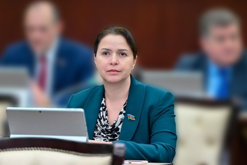 "Uşaqlara sosial şəbəkələrdə qeydiyyatına məhdudiyyət qoyulması qoruyucu xarakter daşıyır" - DEPUTAT