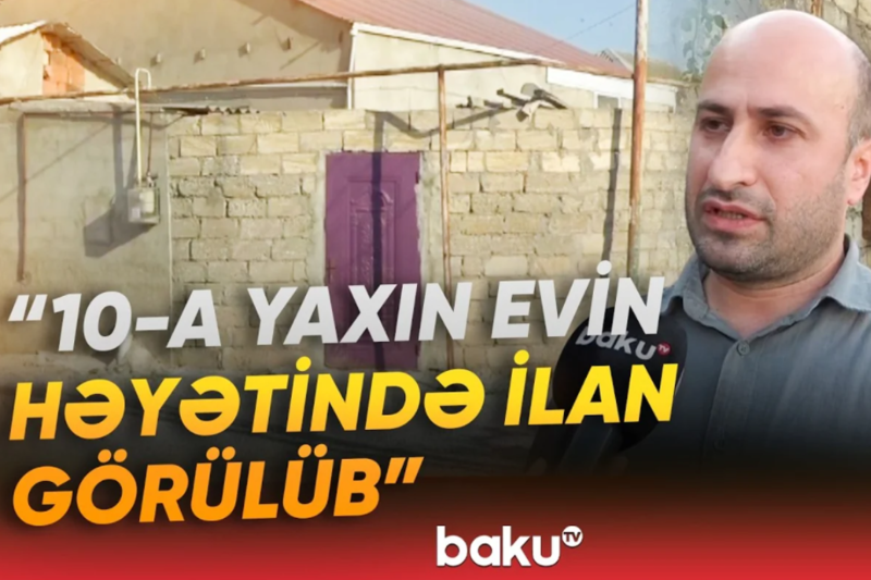 Həyətlərini qurbağalardan sonra ilanlar basan sakinlər təşvişdə - VİDEO
