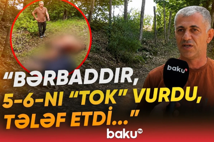 Lerikdə nasaz elektrik xətləri təhlükə saçır: Heyvanları cərəyan vurub