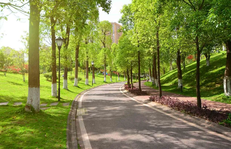 Bakıda yeni park salınır - 35 MİLYON MANAT AYRILDI