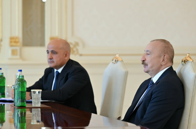 Prezident dünyanın aparıcı investisiya şirkətlərindən birinin baş icraçı direktorunu qəbul edib - FOTO