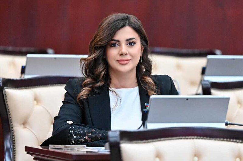 Azərbaycanın xarici valyuta ehtiyatları xarici borcunu 20 dəfə üstələyir